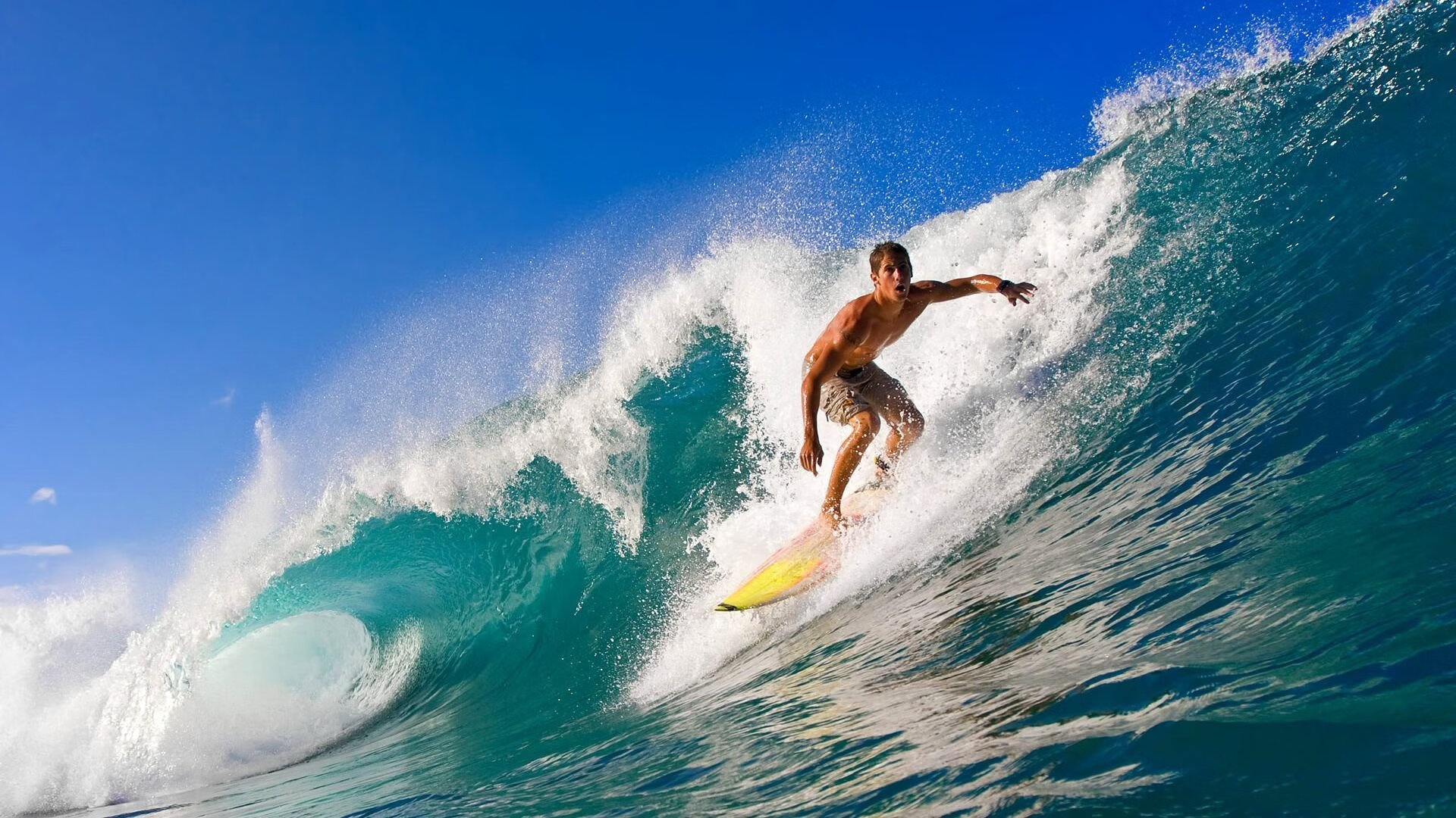 体育新闻中心承办高校体育新闻作品展映活动，学校体育新闻稿标题